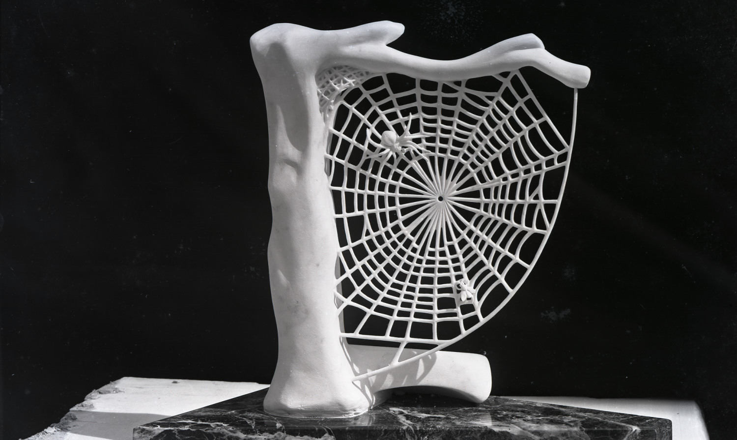 ragnatela di Pietro Tagliazucchi